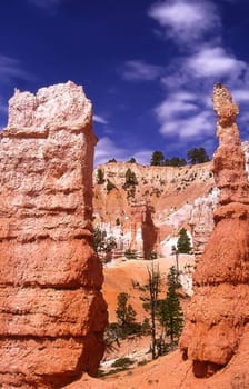 Bryce Canyon View