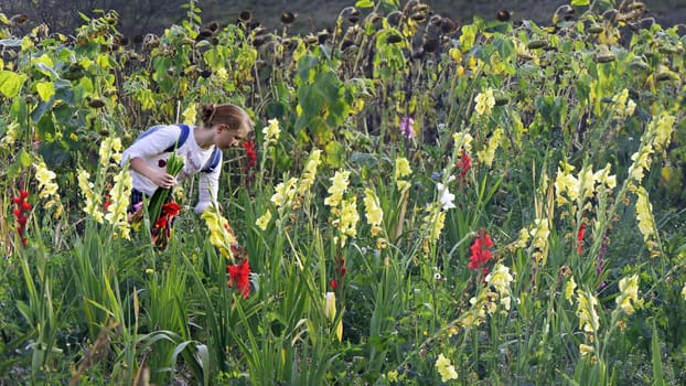 In the flower field