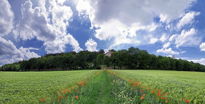 Nature Way