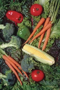 vegetable