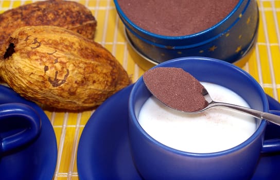 Cocoa