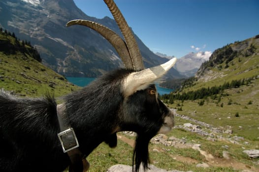 Switzerland 2