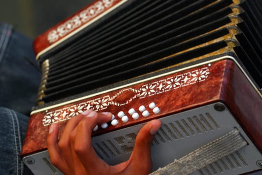 Accordion