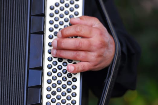 Concertina