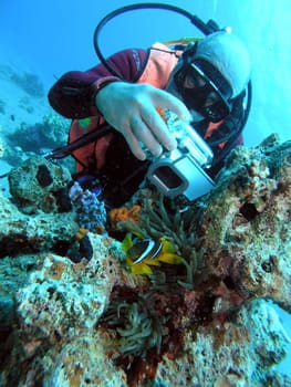 Anemonefish and Underwater Photographer