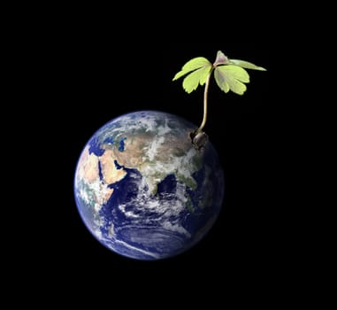 Greenhouse effect