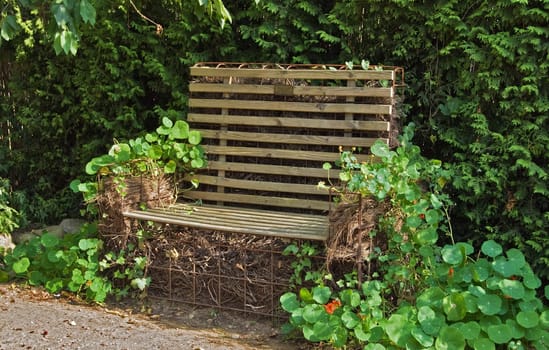 Wooden Bench