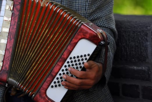 Accordion