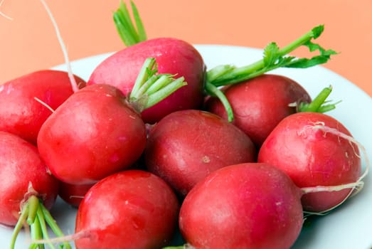 Radishes - raw