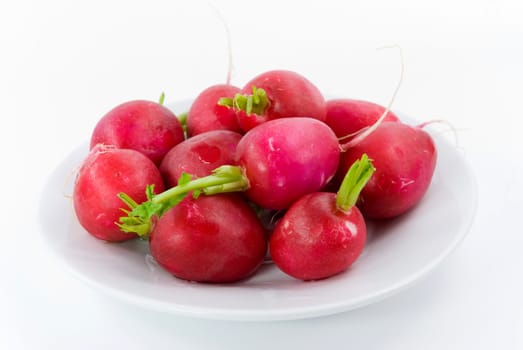 Radishes on the plate