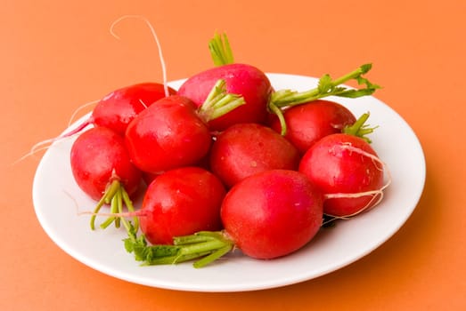 Radishes - raw