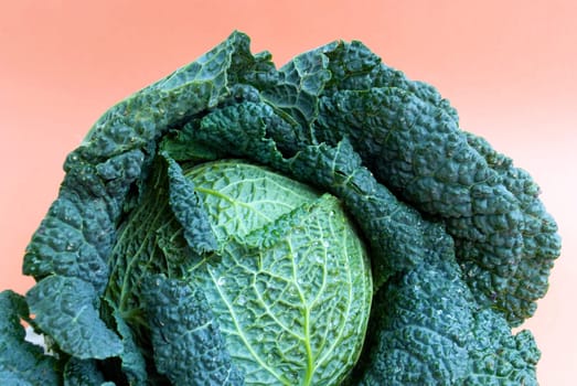 Savoy cabbage - raw - macro 2