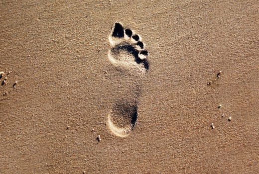 Footprints in the Sand 2