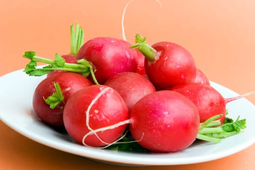 Radishes on the plate