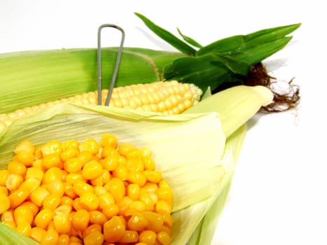 Corn