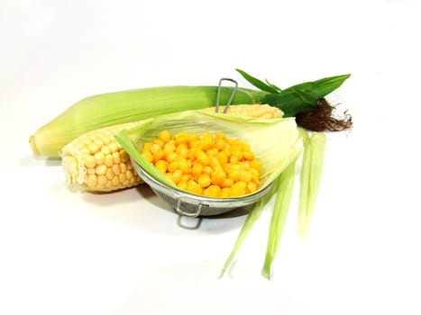 Corn