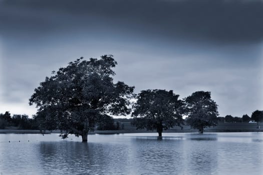 Rain clouds