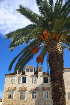 Trogir 20