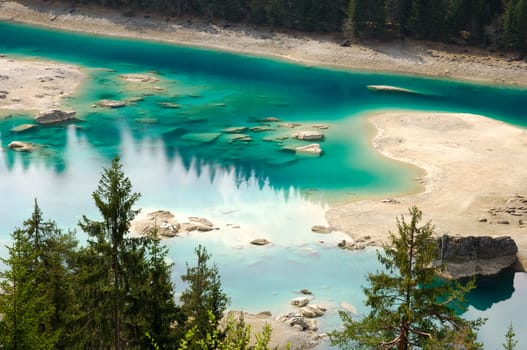 Forest Lake