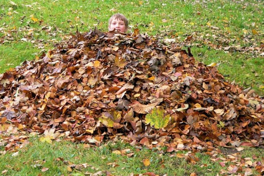 Leaf Pile Hideout