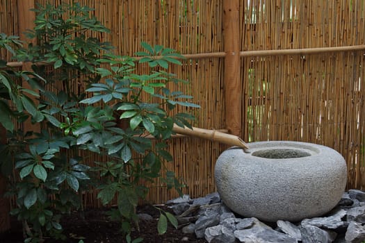 Zen Culture