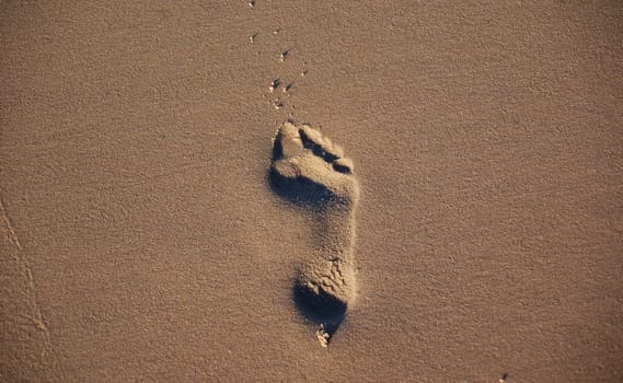 Footprints in the Sand 1