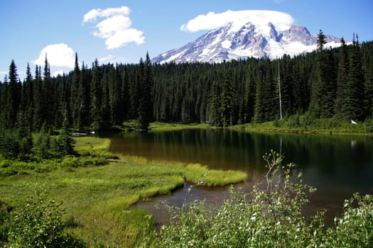 Mount Rainier