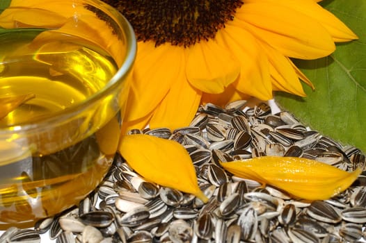 Sunflower oil