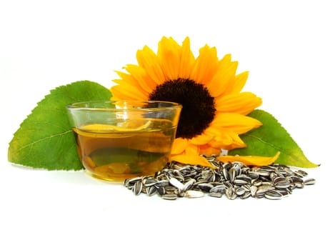 Sunflower Oil