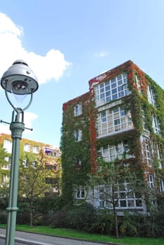 Architecture and nature