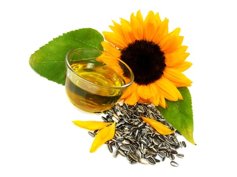 Sunflower oil