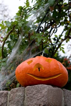 Pumpkin