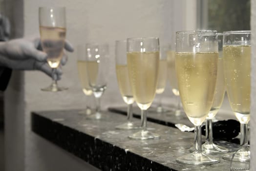 Champagne reception
