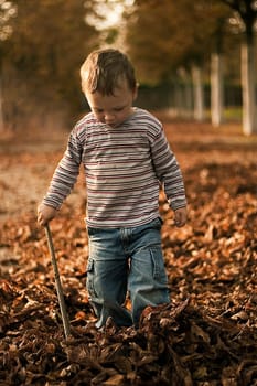 Autumn walk