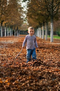 Autumn walk