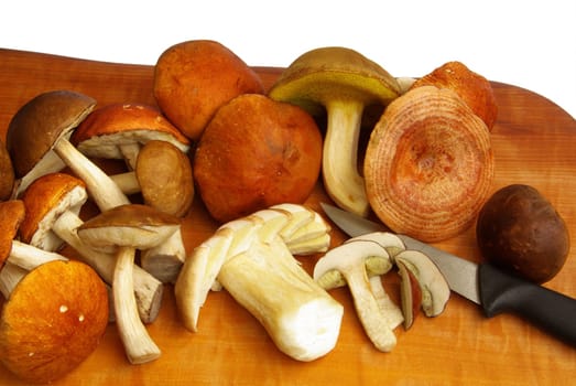 Mushroom 01