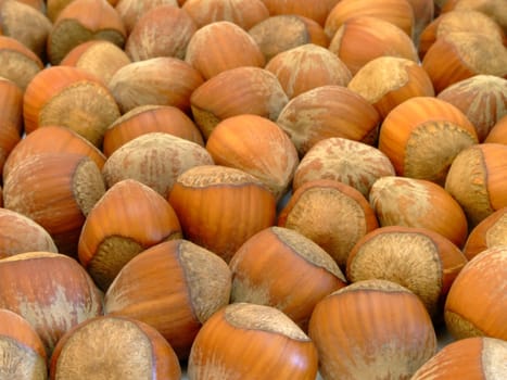 Hazelnuts