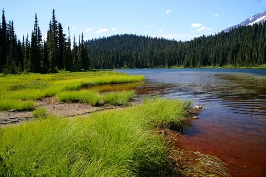 Mount Rainier National Park