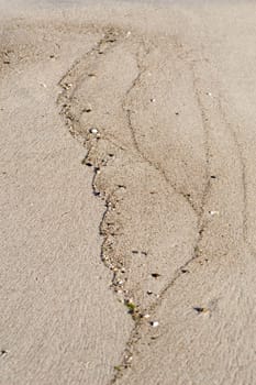 Beach Lines