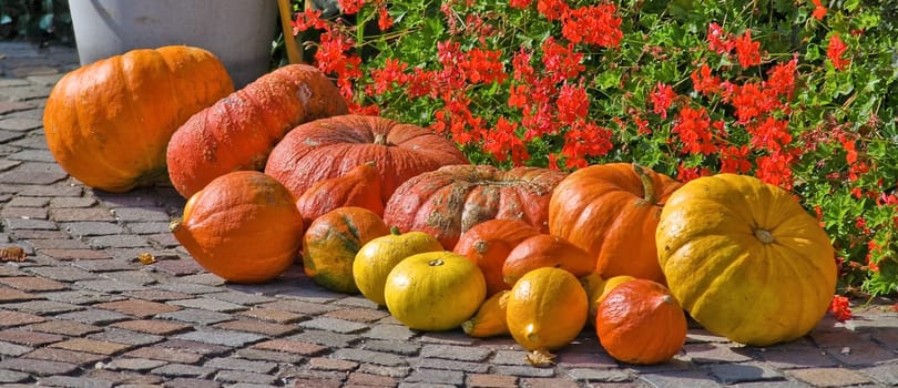 Autumn
