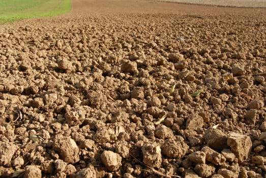Agriculture