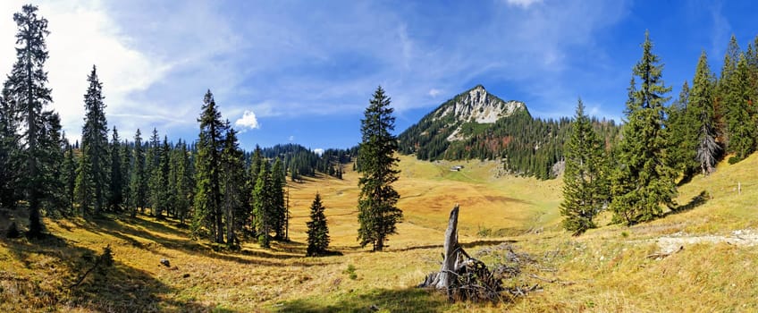 Halserspitze Panorama