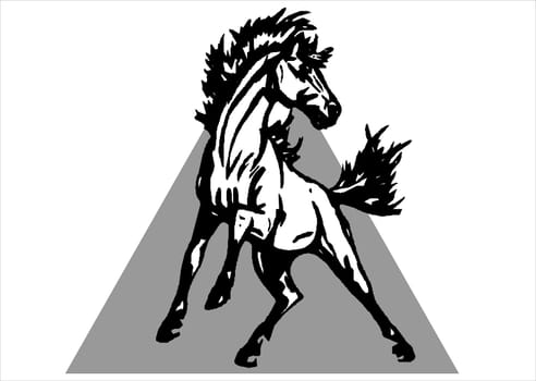 Horse 04