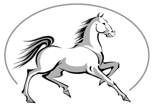 Horse 06