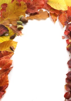 Autumn Frame