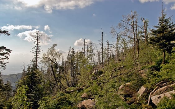Storm damage