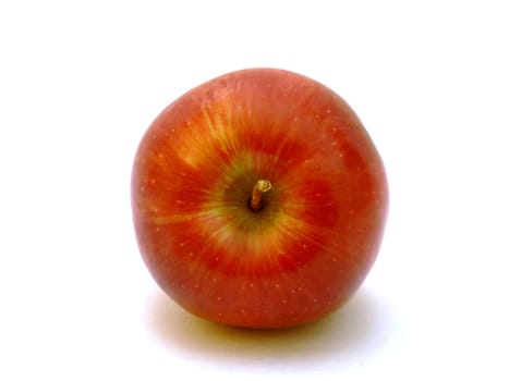 Apples without (New York)