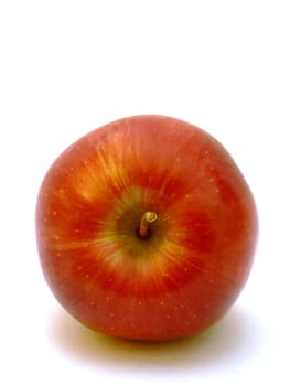 Apples without (New York)