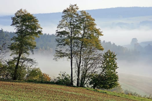 Morning mist