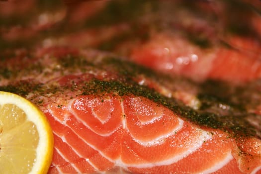 Salmon
